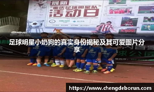 足球明星小奶狗的真实身份揭秘及其可爱图片分享